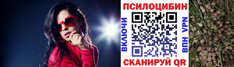 Псилоцибиновые грибы Psilocybe  Камешково 